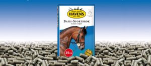 55451742_2522543944628675_1342949111392894976_n