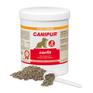 canipur-corfit